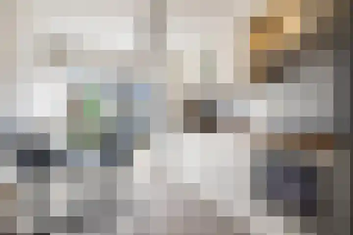 de Kreek 11 Schagen thumbnail 10