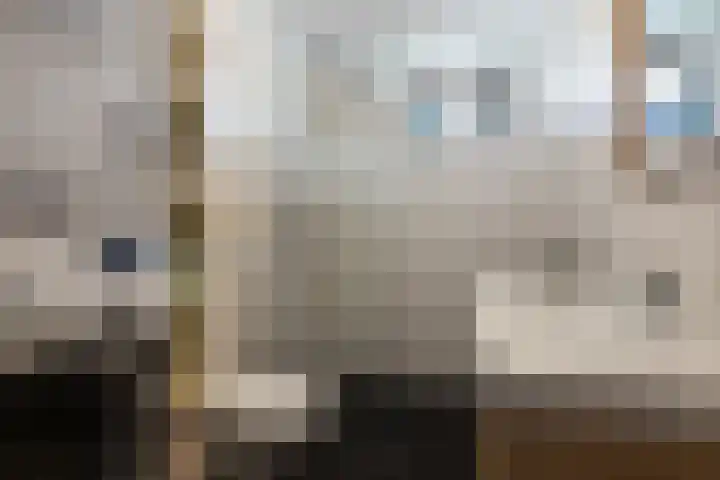 de Kreek 11 Schagen thumbnail 16