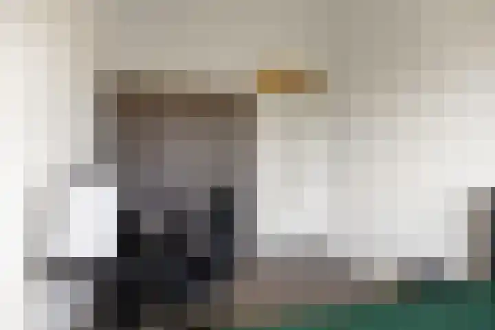 de Kreek 11 Schagen thumbnail 19