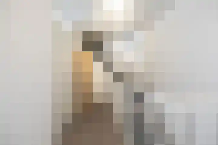 de Kreek 11 Schagen thumbnail 20