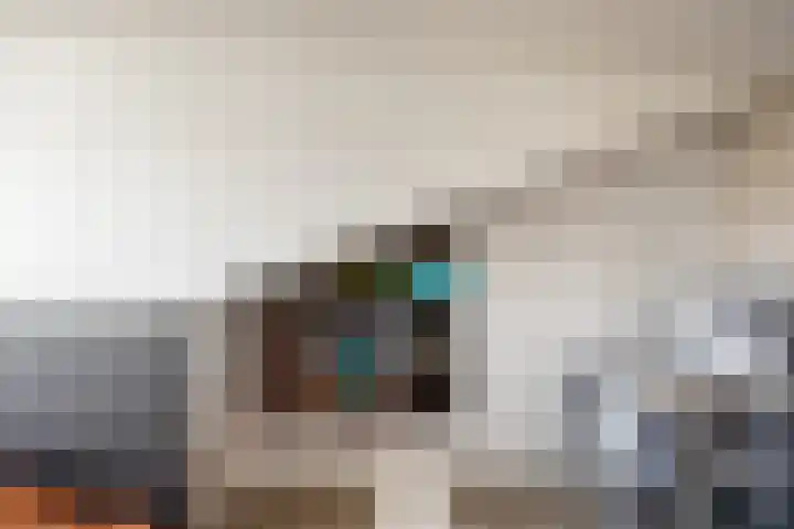 de Kreek 11 Schagen thumbnail 25