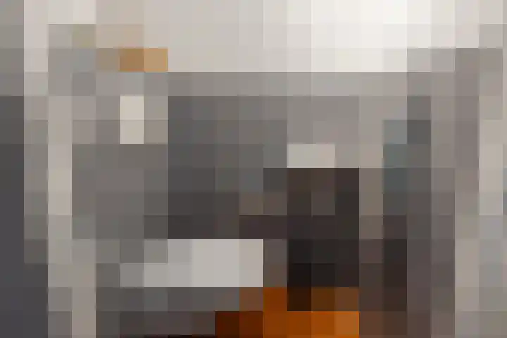 de Kreek 11 Schagen thumbnail 4