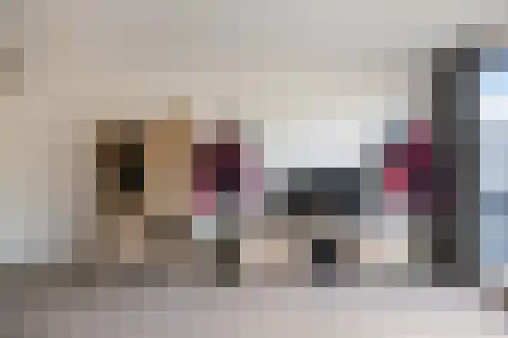 de Kreek 11 Schagen thumbnail 8