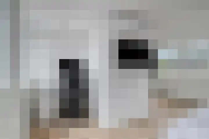 De Kreek 18 Barendrecht thumbnail 30