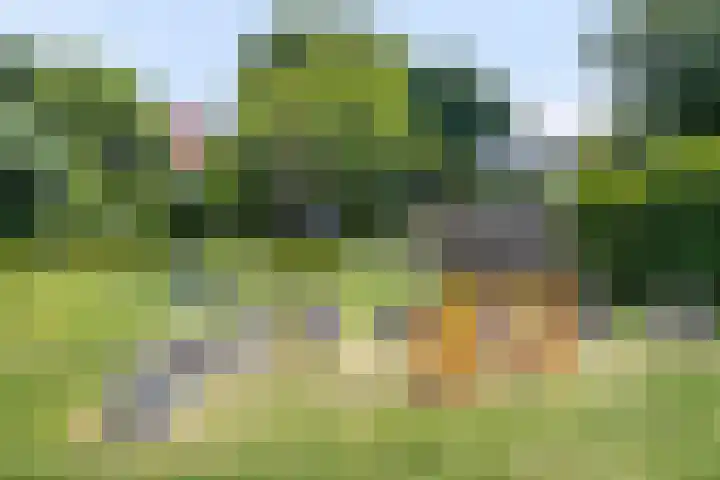 De Kreek 18 Barendrecht thumbnail 32