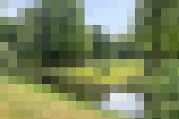 De Kreek 18 Barendrecht thumbnail 33