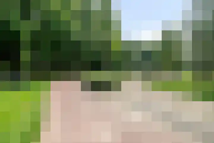 De Kreek 18 Barendrecht thumbnail 34