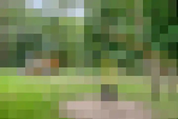 De Kreek 18 Barendrecht thumbnail 35