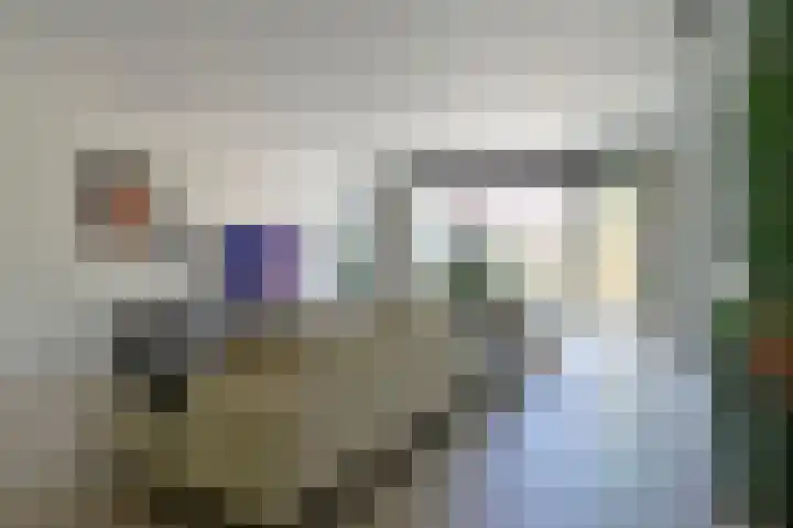 De Kreekrug 6 Zwaagdijk-Oost thumbnail 12