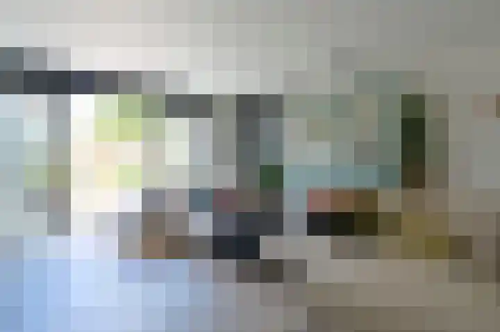 De Kreekrug 6 Zwaagdijk-Oost thumbnail 13