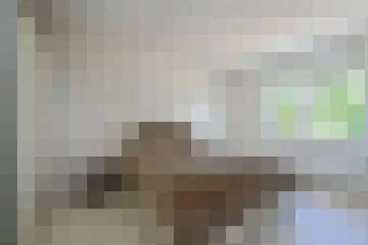 De Kreekrug 6 Zwaagdijk-Oost thumbnail 19