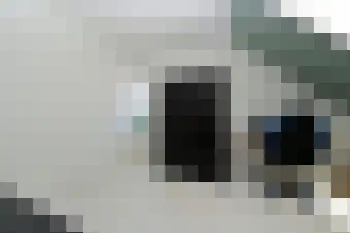 De Kreekrug 6 Zwaagdijk-Oost thumbnail 25