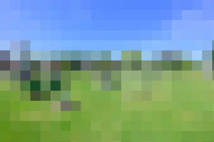 De Kreekrug 6 Zwaagdijk-Oost thumbnail 32