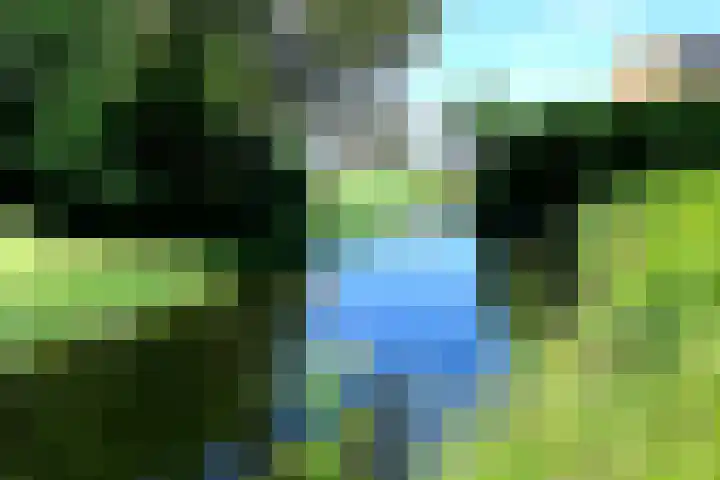De Kreekrug 6 Zwaagdijk-Oost thumbnail 34