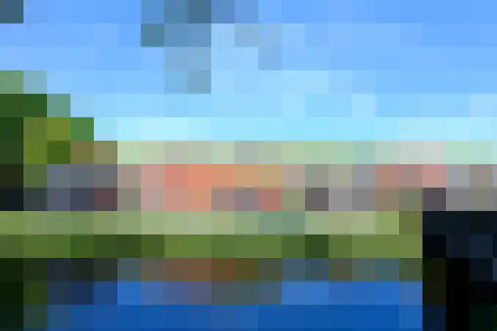 De Kreekrug 6 Zwaagdijk-Oost thumbnail 35