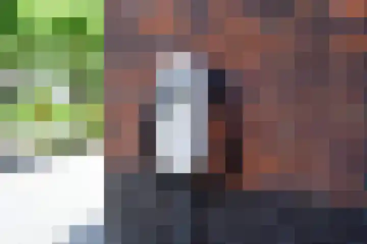 De Kreekrug 6 Zwaagdijk-Oost thumbnail 5