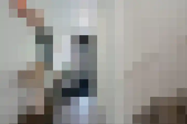 De Kreekrug 6 Zwaagdijk-Oost thumbnail 6