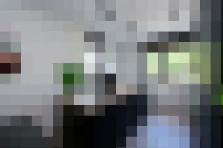 De Kreekrug 6 Zwaagdijk-Oost thumbnail 7