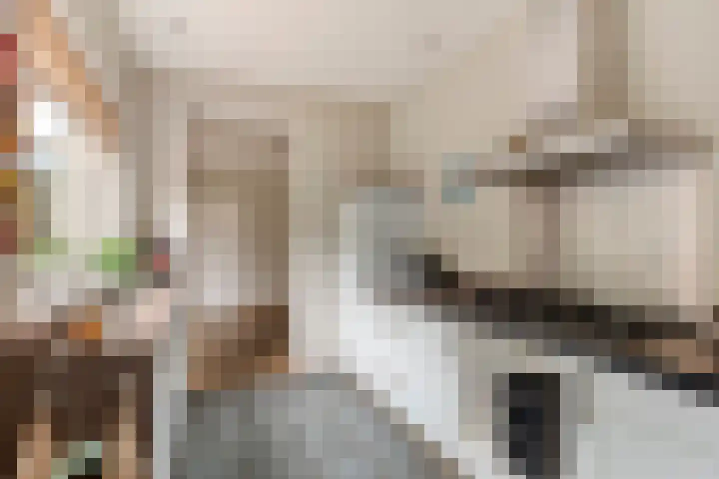 de Kreijenbeek 121 Valkenswaard thumbnail 18