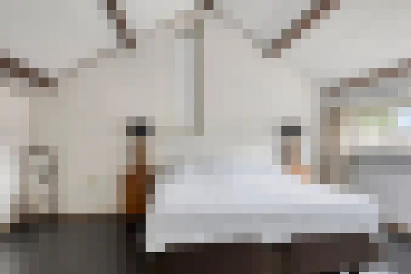 de Kreijenbeek 121 Valkenswaard thumbnail 32
