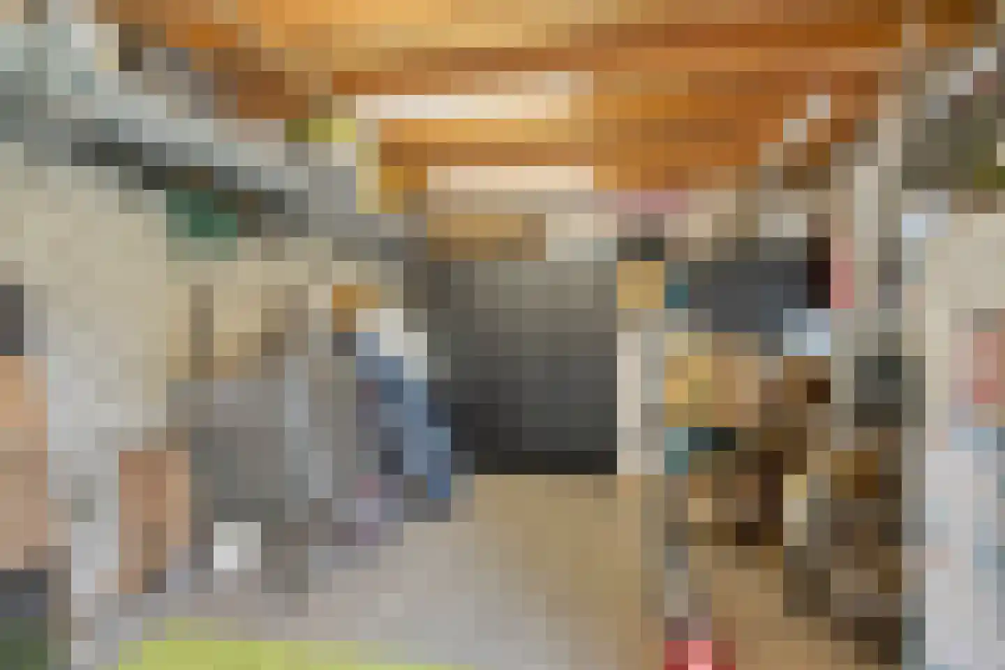 de Kreijenbeek 121 Valkenswaard thumbnail 34