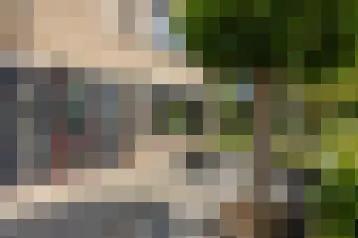 de Kreijenbeek 217 Valkenswaard thumbnail 15