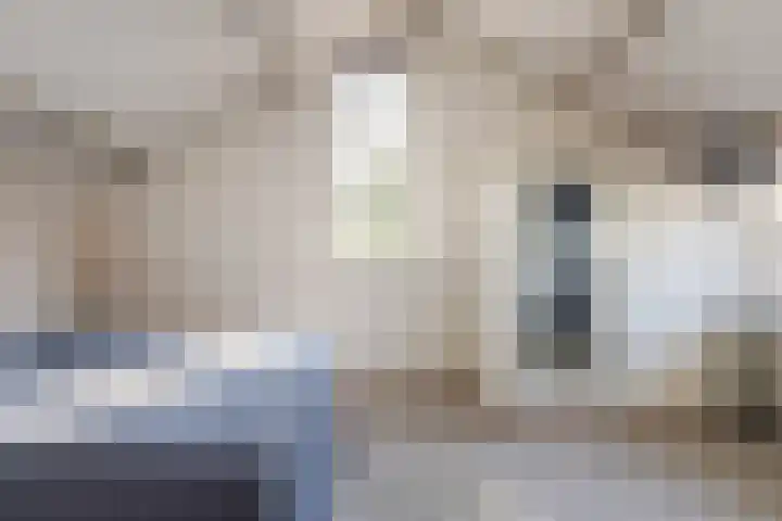 de Kreijenbeek 217 Valkenswaard thumbnail 27