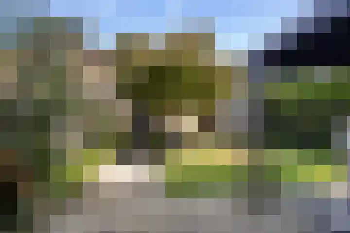 de Kreijenbeek 217 Valkenswaard thumbnail 31