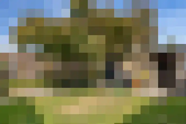 de Kreijenbeek 217 Valkenswaard thumbnail 32
