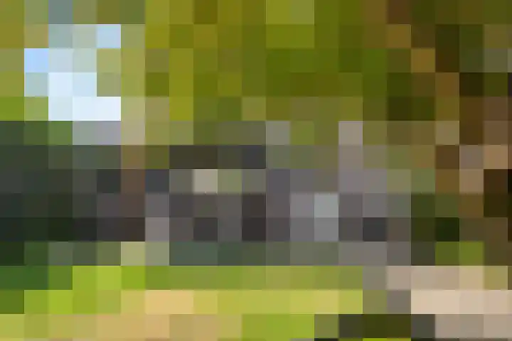 de Kreijenbeek 217 Valkenswaard thumbnail 33
