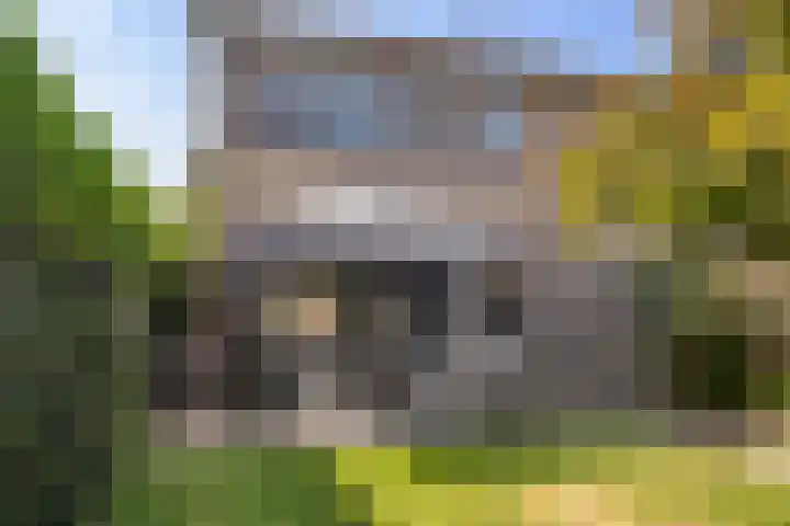 de Kreijenbeek 217 Valkenswaard thumbnail 34