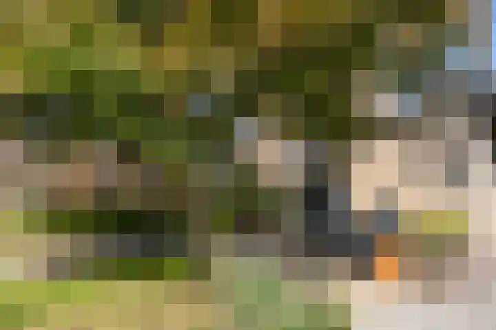 de Kreijenbeek 217 Valkenswaard thumbnail 35
