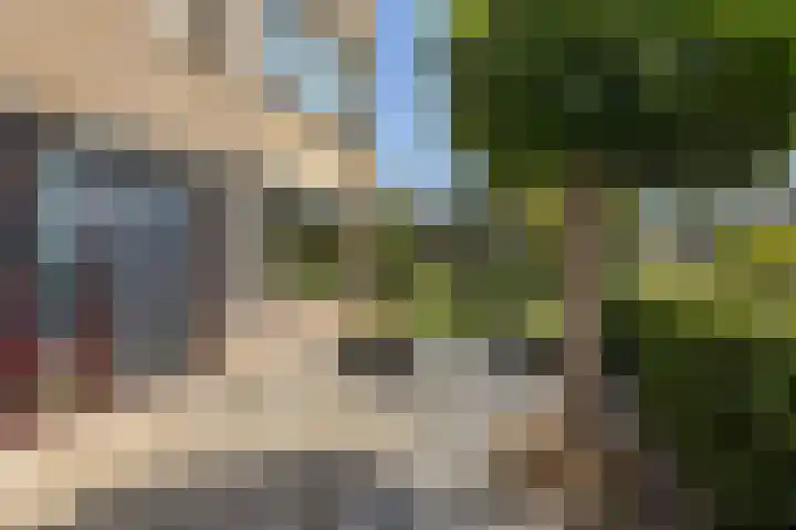 de Kreijenbeek 217 Valkenswaard thumbnail 4
