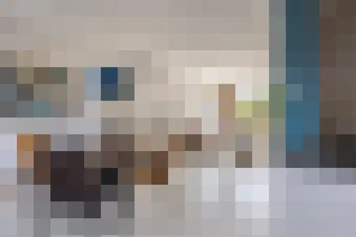 de Kreijenbeek 217 Valkenswaard thumbnail 5