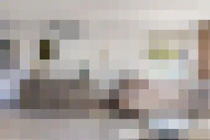 de Kreijenbeek 217 Valkenswaard thumbnail 8