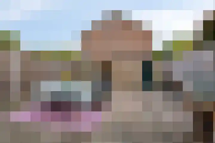 de Kreijenbeek 219 Valkenswaard thumbnail 26