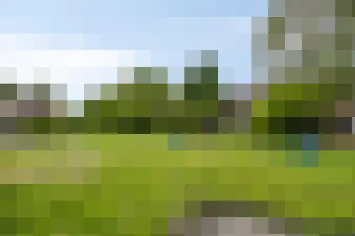de Kreijenbeek 219 Valkenswaard thumbnail 28