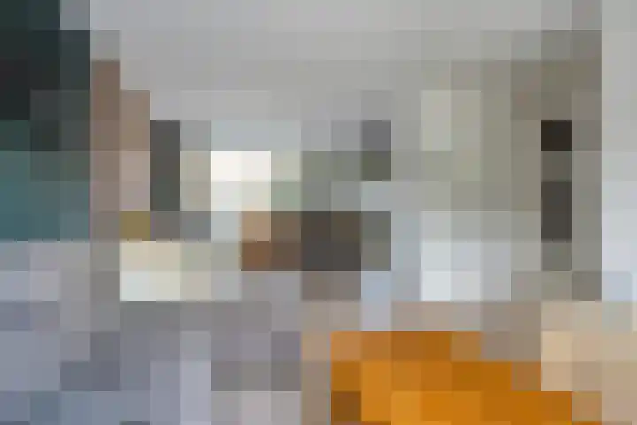 de Kreijenbeek 219 Valkenswaard thumbnail 8
