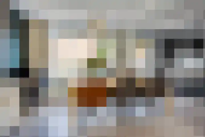 de Kreijenbeek 219 Valkenswaard thumbnail 9