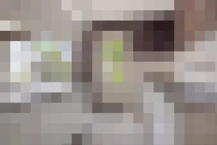 de Kreijenbeek 85 Valkenswaard thumbnail 11