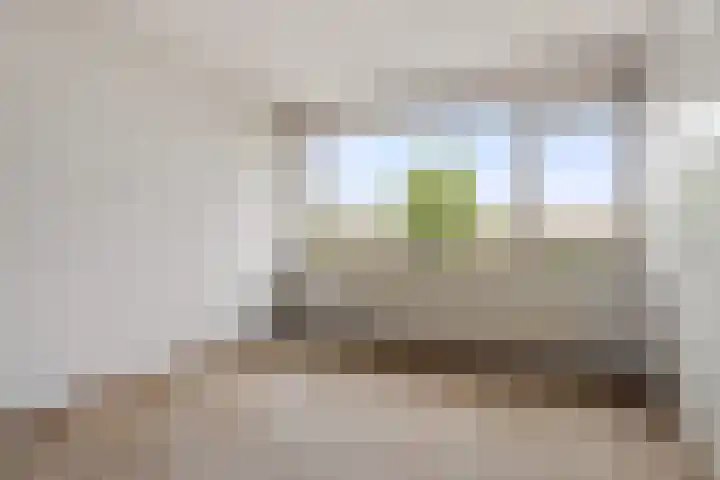 de Kreijenbeek 85 Valkenswaard thumbnail 16