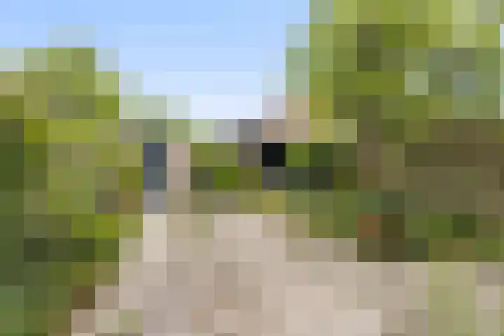 de Kreijenbeek 85 Valkenswaard thumbnail 26
