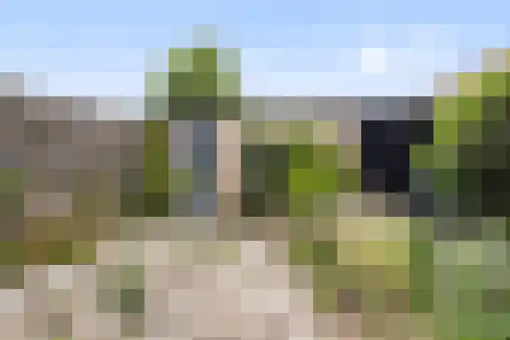 de Kreijenbeek 85 Valkenswaard thumbnail 27