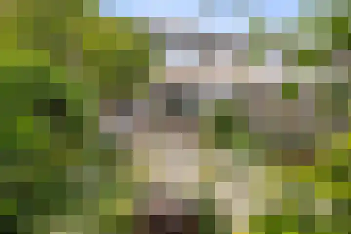 de Kreijenbeek 85 Valkenswaard thumbnail 28