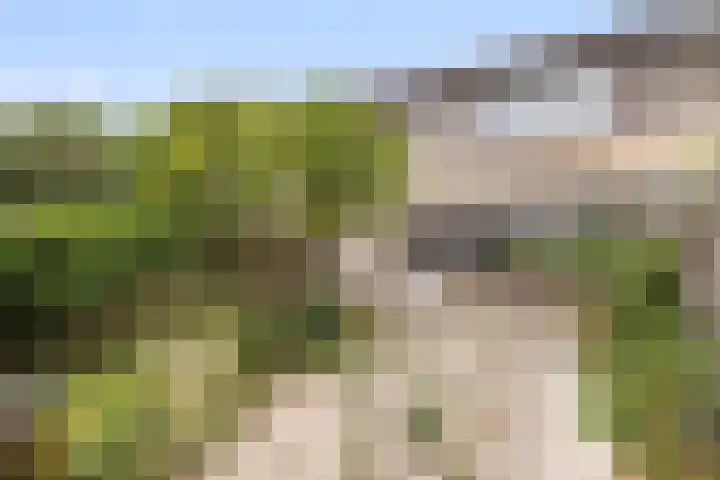 de Kreijenbeek 85 Valkenswaard thumbnail 29