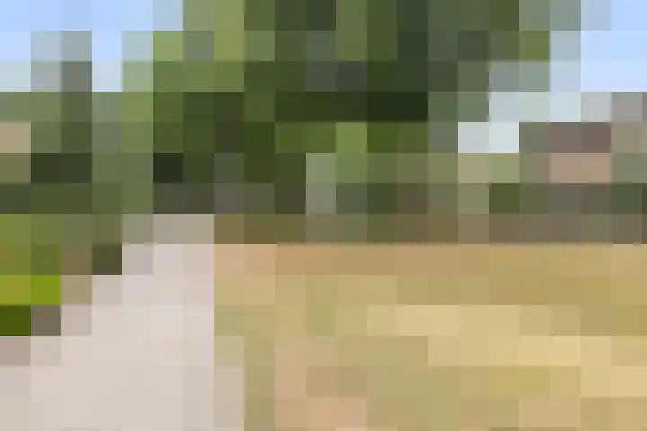 de Kreijenbeek 85 Valkenswaard thumbnail 34