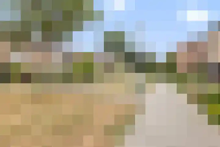 de Kreijenbeek 85 Valkenswaard thumbnail 35