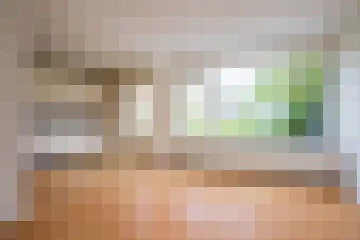 de Kreijenbeek 97 Valkenswaard thumbnail 10