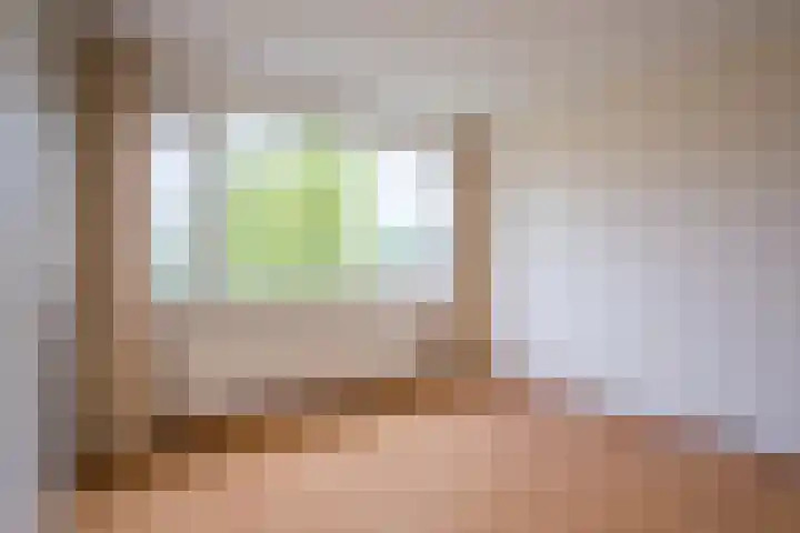 de Kreijenbeek 97 Valkenswaard thumbnail 15