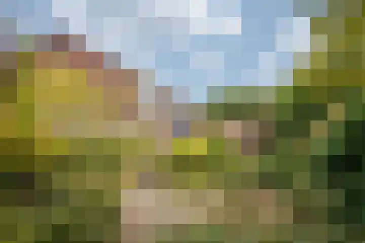 de Kreijenbeek 97 Valkenswaard thumbnail 26